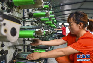 河北景縣 研發(fā)環(huán)保應用橡塑產(chǎn)品 助力企業(yè)轉型升級